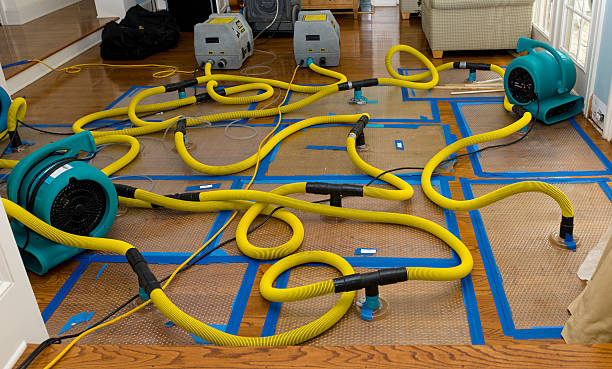 Professional Water Extraction technician working in Clifton, TX